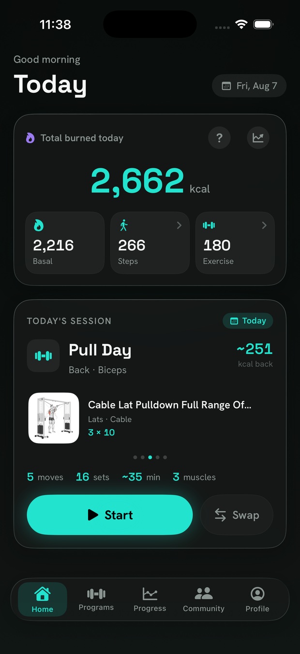 StayFit in use: today's burn, the food diary, a live session and the progress trend